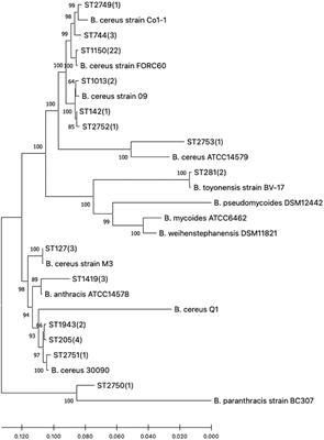 Characterization and spoilage potential of Bacillus cereus isolated from farm environment and raw milk